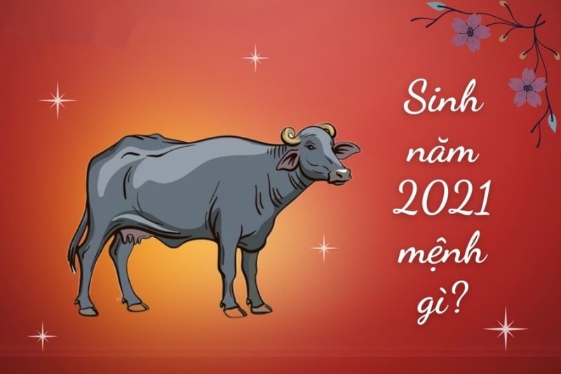 Sinh năm 2021 là mệnh gì