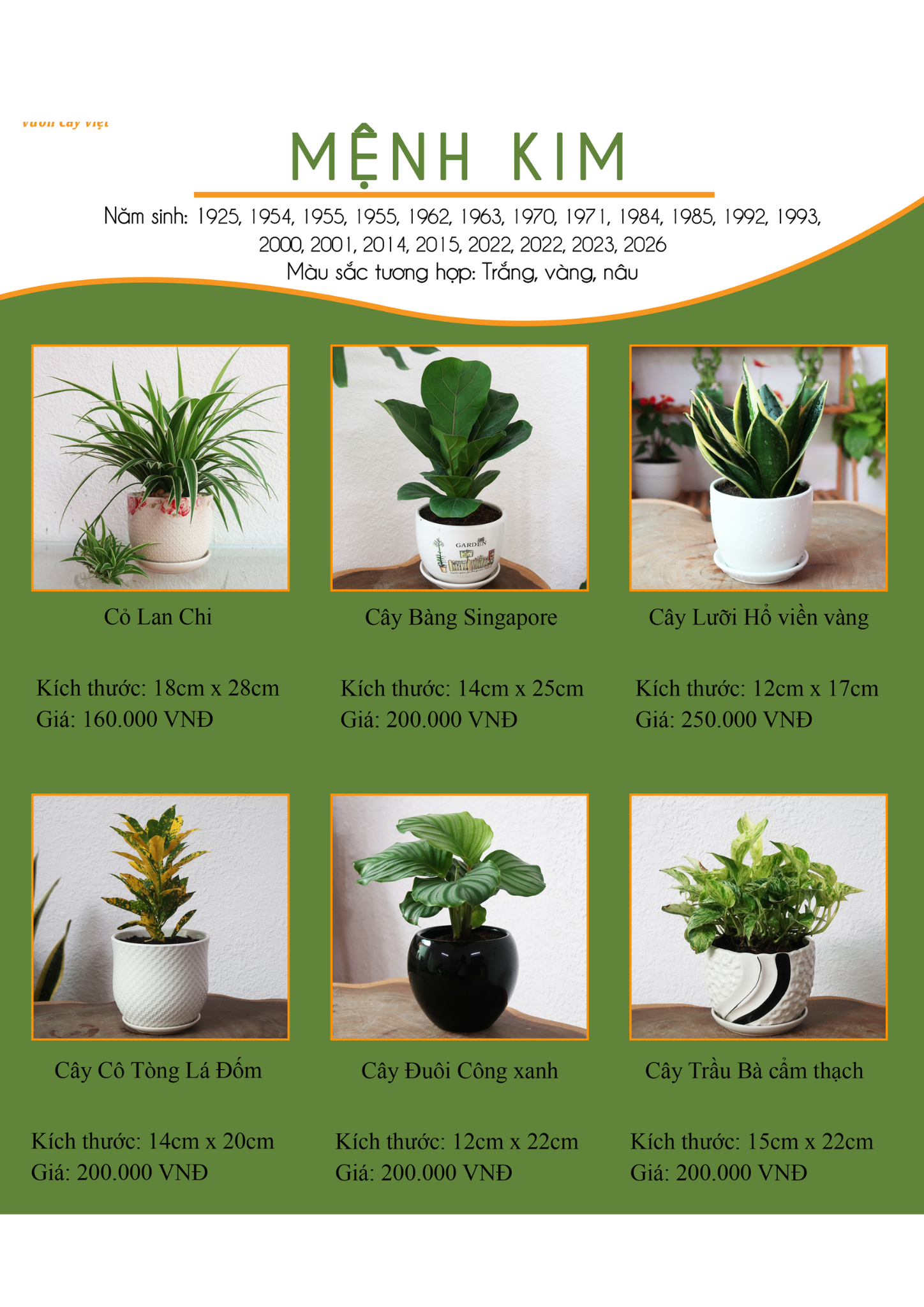 Mệnh Kim hợp với cây gì