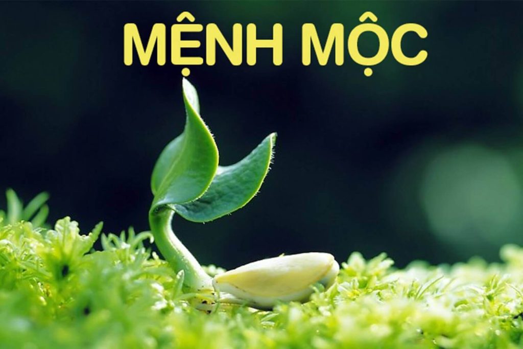 Mệnh mộc