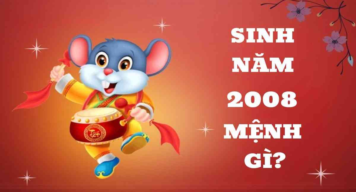 Ý nghĩa sinh con năm 2008 mệnh gì