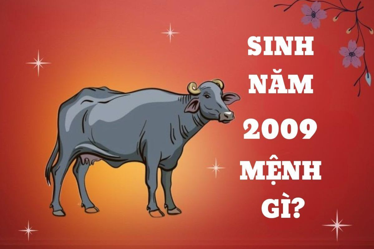 Sinh năm 2009 là mệnh gì theo ngũ hành?
