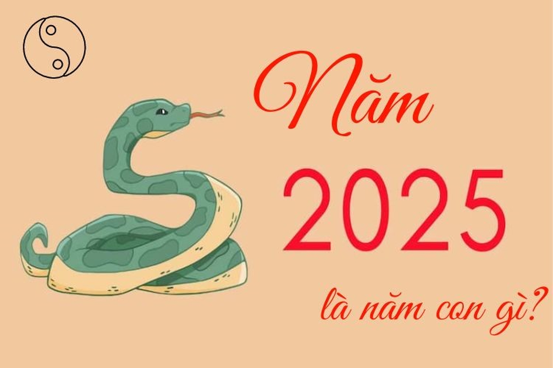 Năm 2025 là năm con gì